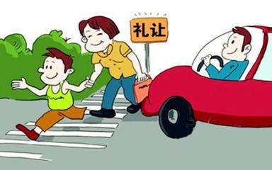 机动车未礼让行人的处罚规定与安全责任