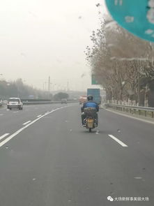 莫拿生命当儿戏 行人非机动车上高速公路，危险至极